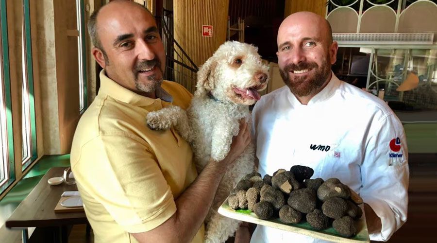 Entrevista a Javier Acedo en El País, El laberinto de las trufas negras 2018