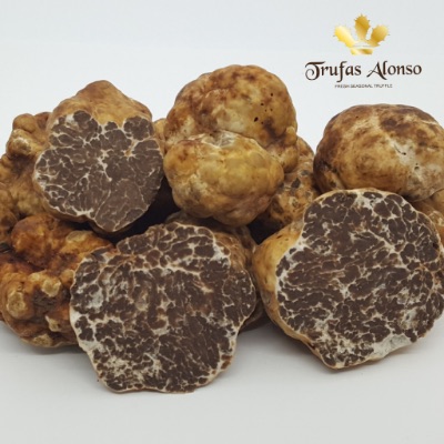 Spring truffle. Several whole and split truffles.
