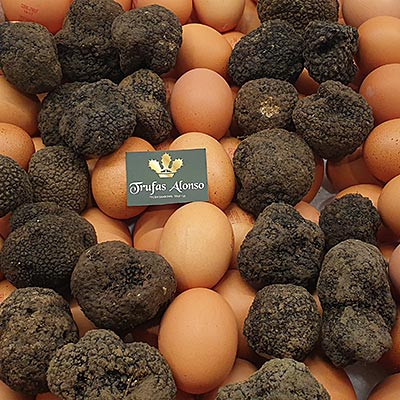 Getrüffelte Eier mit Herbsttrüffel