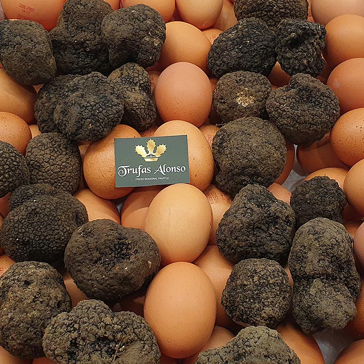 truffled eggs with autumn truffles