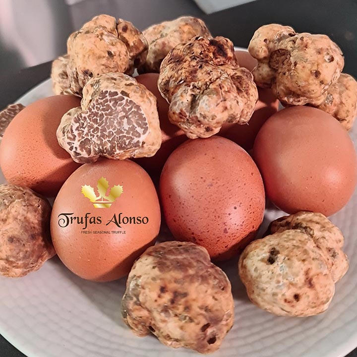 pack spring truffle 30 grams and 6 free-range eggs truffled with spring truffle Tuber Borchii