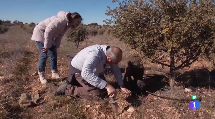 Entrevista a Javier Acedo en el programa Aquí la Tierra de RTVE 2022