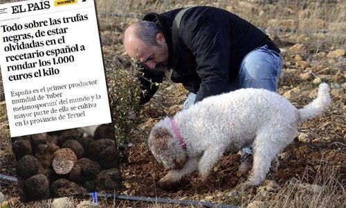 Entrevista a Javier Acedo en Periódico El País en enero 2024