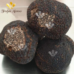 Trufa Negra de Australia (Tuber Melanosporum)