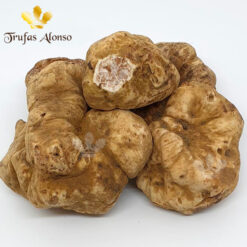 Trufa Blanca (Tuber Magnatum)